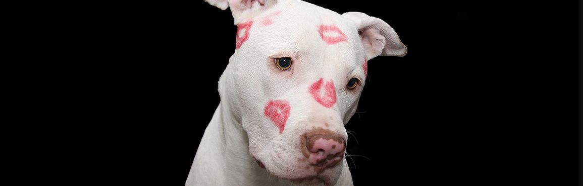 Как целуются в разных странах