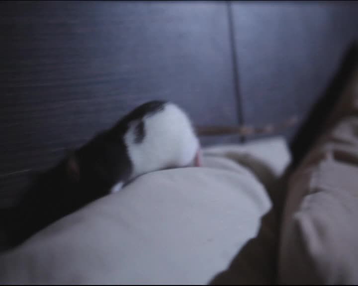 Дневники Темного 1 сезон 36 серия