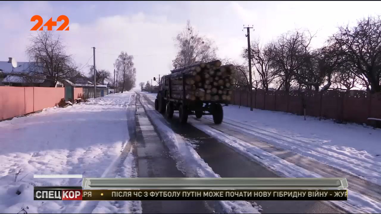 На Чернігівщині спиляли з півтисячі добротних стовбурів