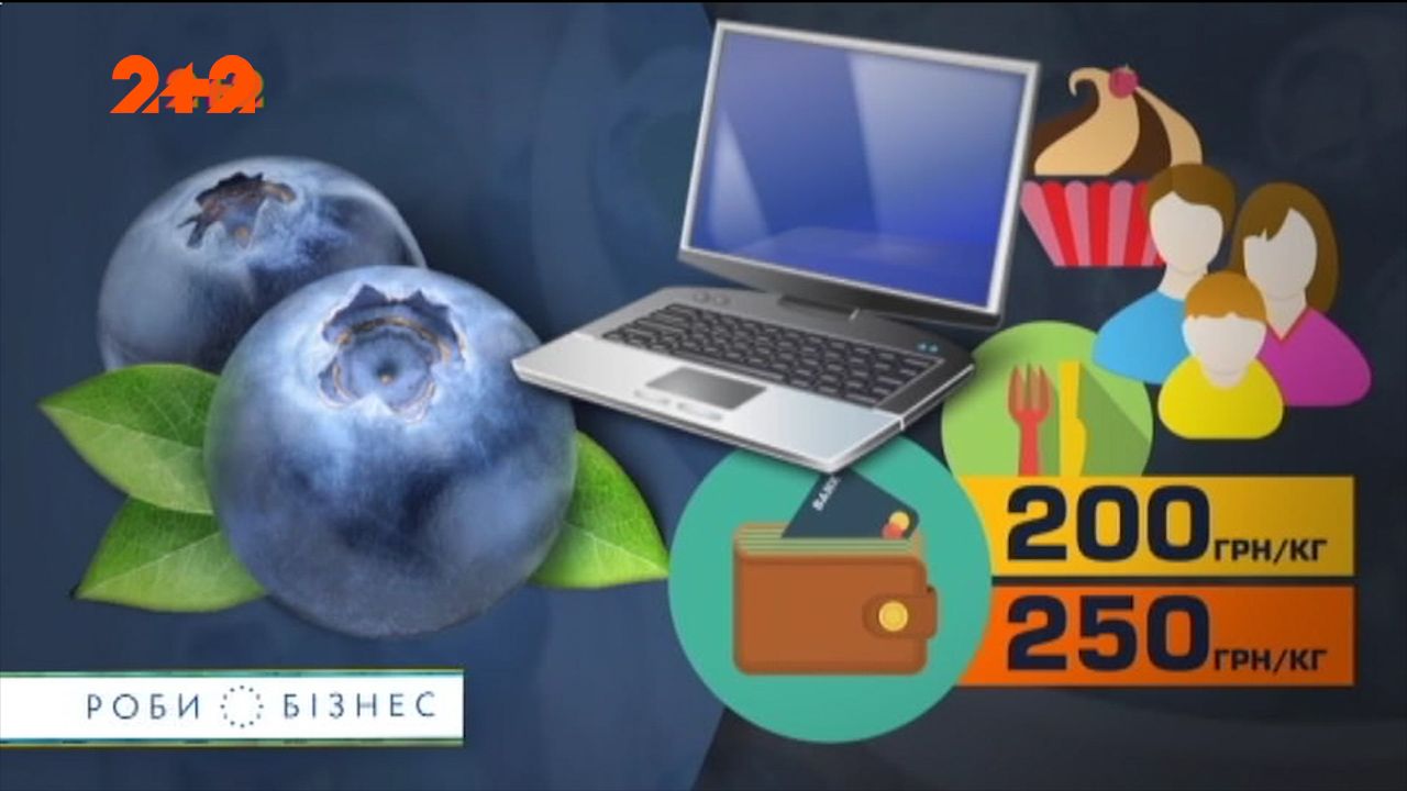 Вирощування лохини - прибутковий та перспективний бізнес в Україні
