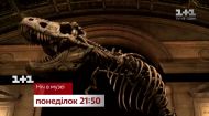 Ночь в музее – не пропустите в понедельник на 1+1 Ночь в музее – не пропустите в понедельник на 1+1