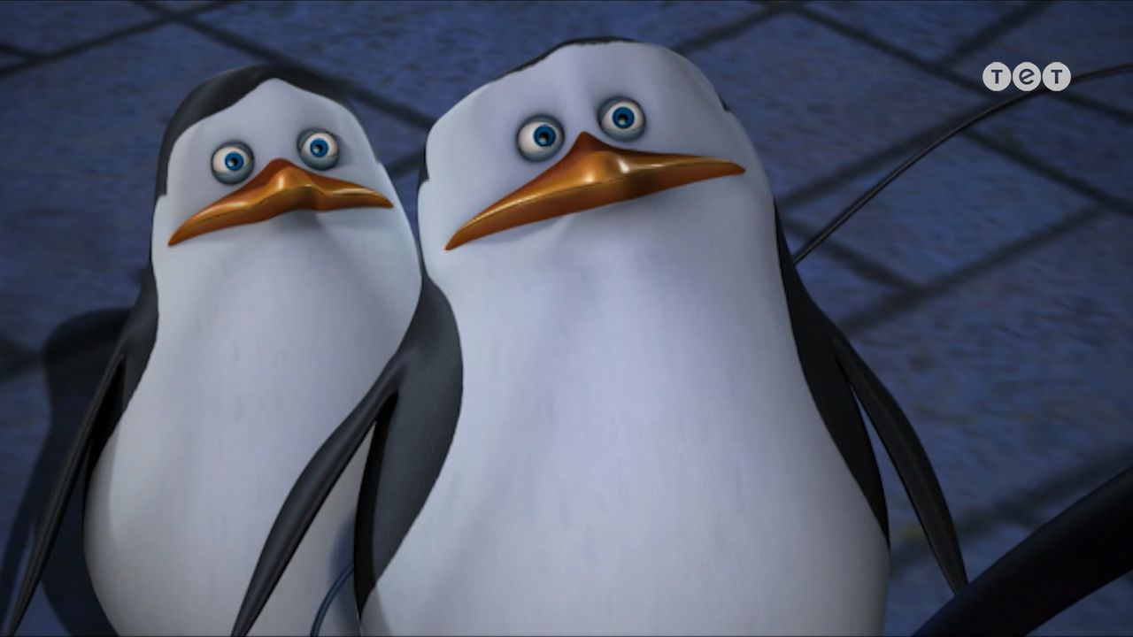 Пінгвіни з Мадагаскару 2 сезон 32 серія. Небезпечний вечір ігор / Вуличні розумники