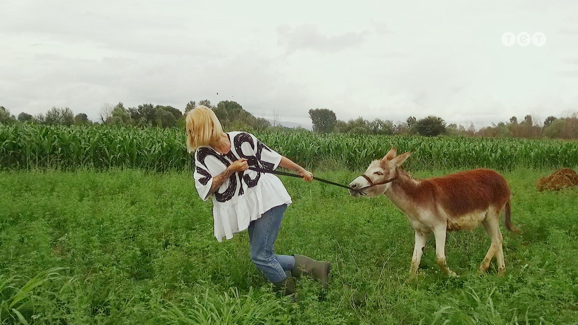 ЛавЛавCar 3 сезон 15 серія