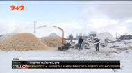 Сонце-годувальник: все більше українців обирають відновлювальну енергетику