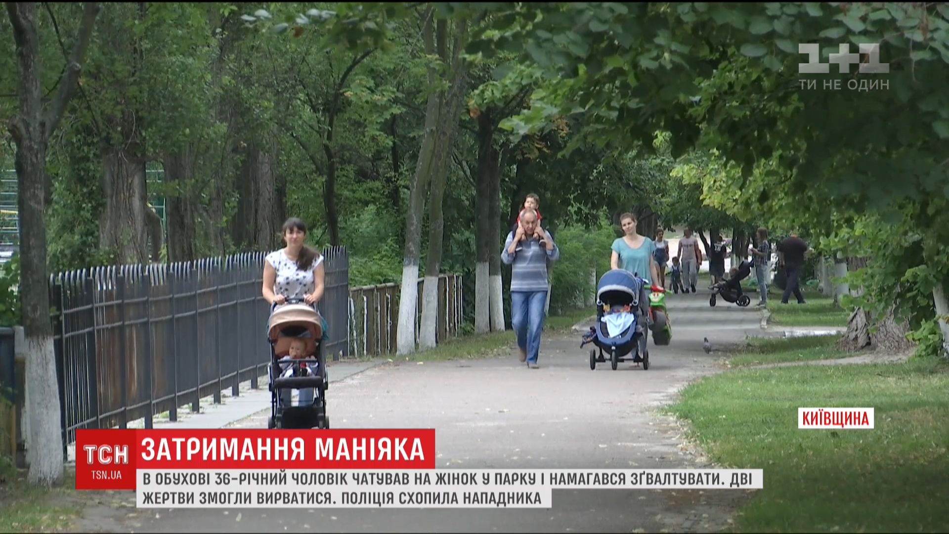 Порно видео Девушку поймали в лесу и трахнули. Смотреть Девушку поймали в лесу и трахнули онлайн