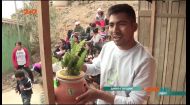 В Перу парень превратил обычные комнатные вазоны на мини-электростанцию