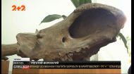 В Винницкой области нашли доисторическое животное