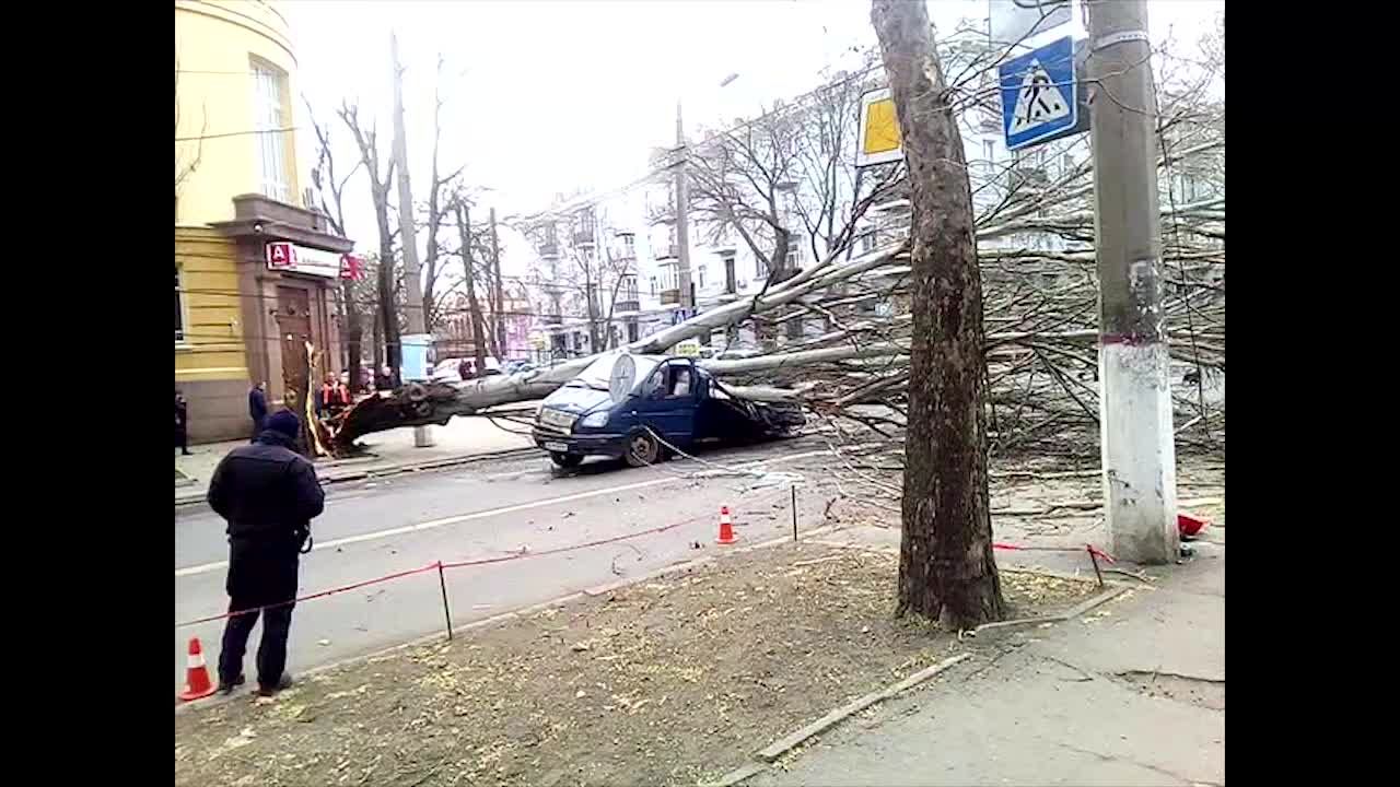 Падение дерева на авто в Николаеве