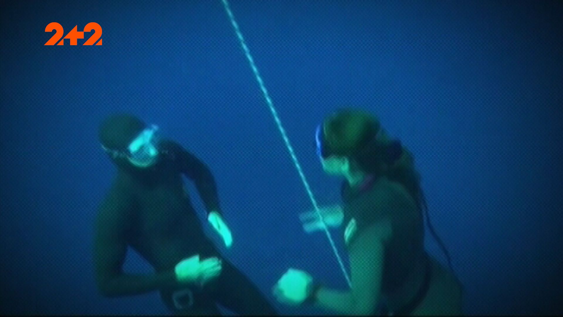 Предком людини був морський ссавець – теорія «Homo aquaticus»