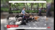 Папараці підловили Деніела Редкліффа на вулицях Нью-Йорка в компанії десятка песиків