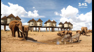 Мій путівник. Кенія – Національний парк 