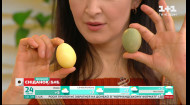 Найкращі натуральні барвники для яєць на Великдень