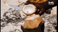 Мій путівник. Кенія — Коралова колона Васко да Гами та правила поїдання баобабів