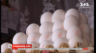 В Украине вырастут цены на яйца и мясо птицы — Экономические новости