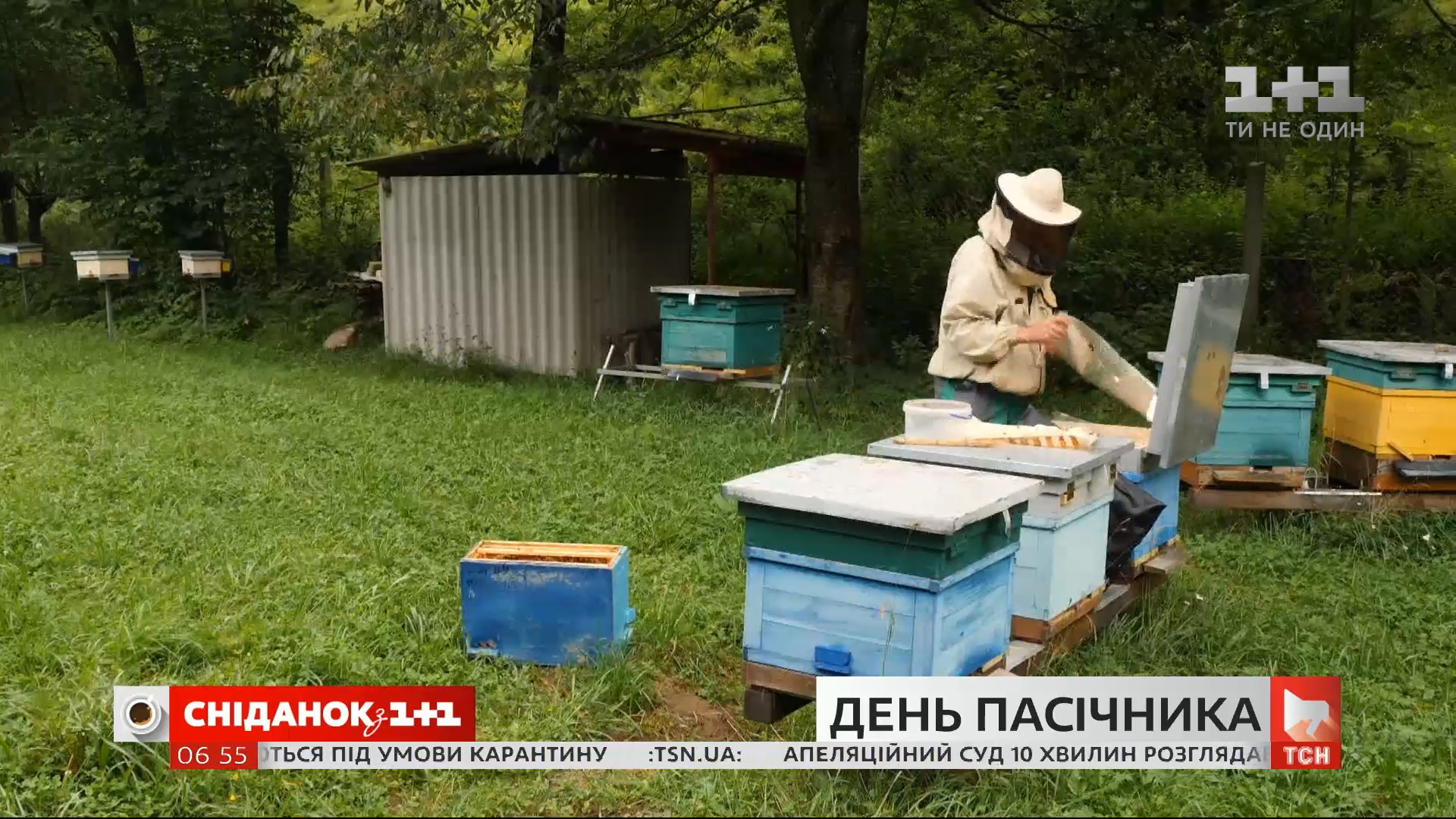 Приметы про мед - почему банка с медом должна быть в каждом доме - Главред