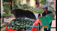Вьетнамские предприниматели продают арбузы из багажника красной Феррари