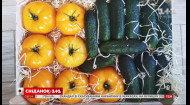 Почему в магазинах преимущественно импортные овощи и как украинцы поддерживают своих производителей