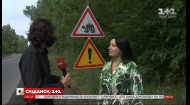 Осторожно, черепахи: как в Кременчуге появился уникальный дорожный знак