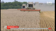 В Україні зібрали 64% врожаю зернових — Економічні новини