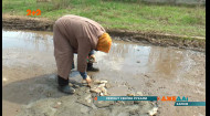 Харьковская пенсионерка устроила ремонт дорог своими руками