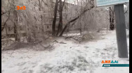 Ледяной дождь и мороз в Приморском крае сковал абсолютно все