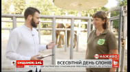 Как живет слон Хорас в киевском зоопарке и почему слоны нуждаются в защите — прямое включение