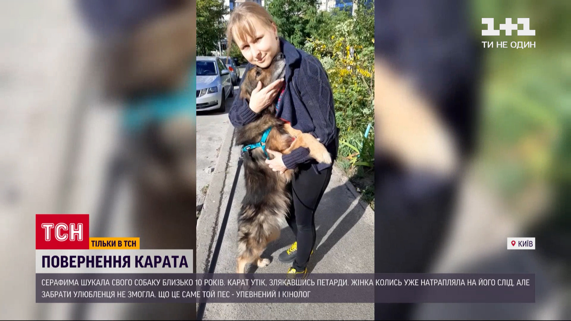 Годы поисков: киевлянка нашла пса, который сбежала 11 лет назад