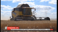 Украина заняла второе место в мире среди экспортеров зерна – Экономические новости