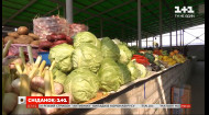 Овочі борщового набору впали в ціні — Економічні новини