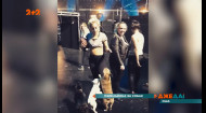 В Соединенных Штатах напали на ухаживателя собак Леди Гаги