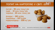 Аналітики прогнозують зростання світового ринку картоплі — Економічні новини