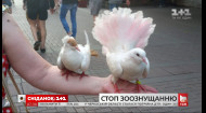 Подействовал ли в Киеве запрет на фото с животными