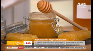 Як відрізнити натуральний мед від підробки – поради біохіміка Гліба Рєпіча