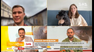 Какие нормы содержания собак в Украине и за рубежом