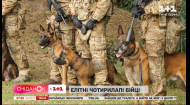 Як проходять тренування Служби безпеки України з елітними чотирилапими воїнами