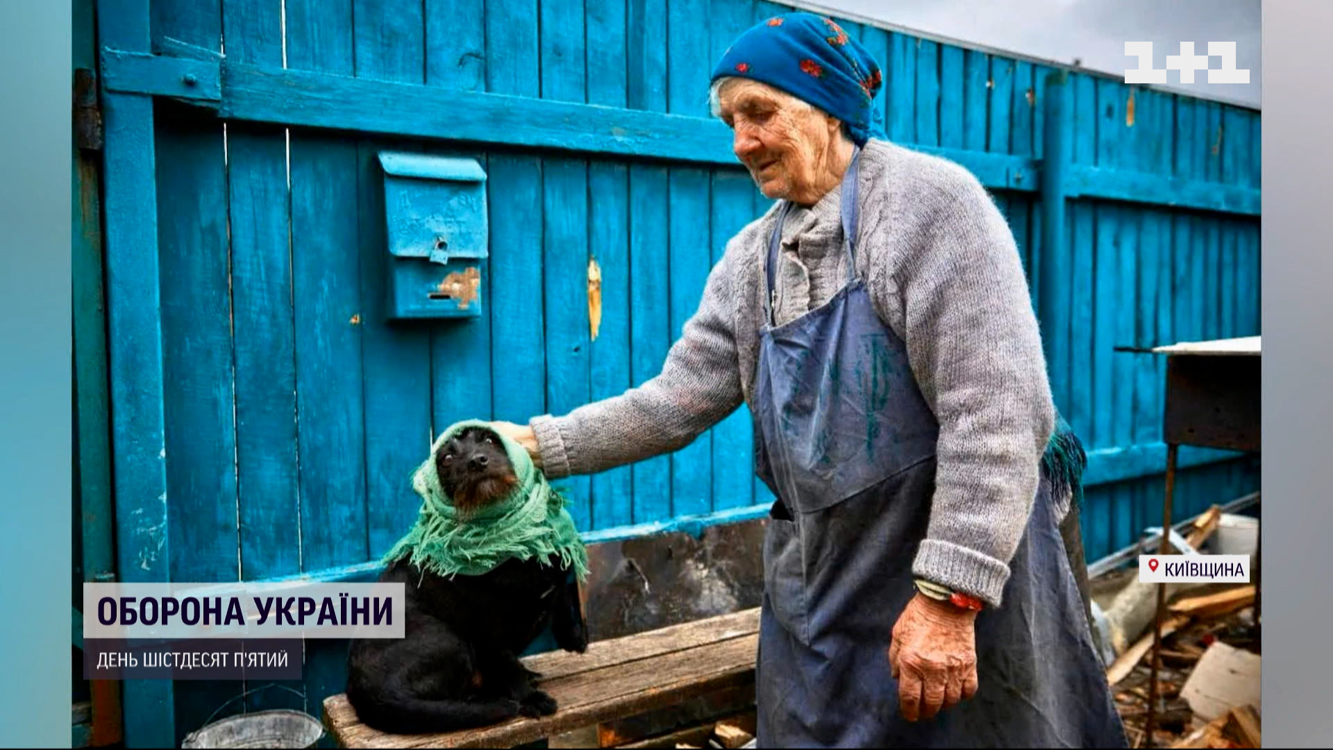 Кутала песика в платок: бабушка с Киевщины рассказала, как пережила  бомбежку (видео) — УНИАН