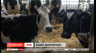 В Украине с нового года подорожают молоко и набел