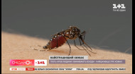 Самый опасный для человека хищник: какие интересные факты стоит знать про комаров