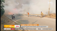 Пожежі на курортах Туреччини: з чого все почалося та яка там зараз ситуація