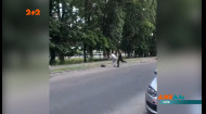 В Киеве конфликт двух мужчин перерос в голый перформанс