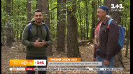 В Украине начинается сезон грибов: какова ситуация в киевских лесах