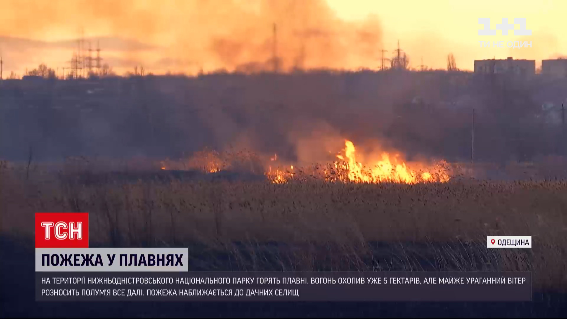 В Одесской области горят Днестровские плавни | Новости Украины