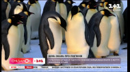День знань про пінгвінів: найцікавіші факти з життя унікальних птахів