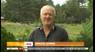 Як може змінитися рослинний світ в Україні через потепління