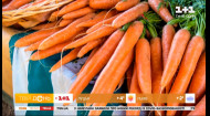 Чому морква претендує на звання найкориснішого овоча