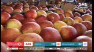 Продаж землі, ціни на яблука, додаткові місця в плацкарті – Економічні новини