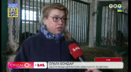Что происходит на Киевском ипподроме и как чувствуют себя кони