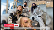 В салоне Киева пытались сделать тату живой свинье