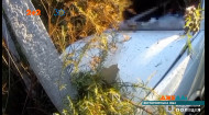 У селі на Житомирщині копи натрапили на авто – яке міцно обійняло стовпа