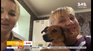 Пошли за грибами, а вернулись с новым другом: семья из Киевской области подобрала бездомного щенка